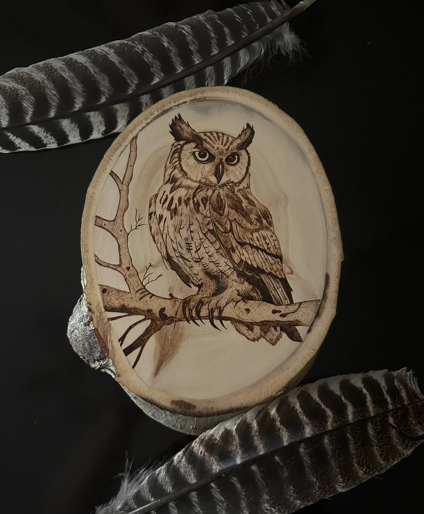 Decor: Owl